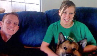 timothy mcentee 66 68 0